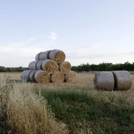Agrimat Salento Sas Villa Алецио Екстериор снимка