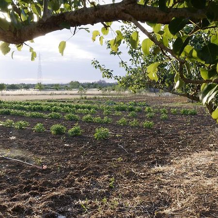 Agrimat Salento Sas Villa Алецио Екстериор снимка