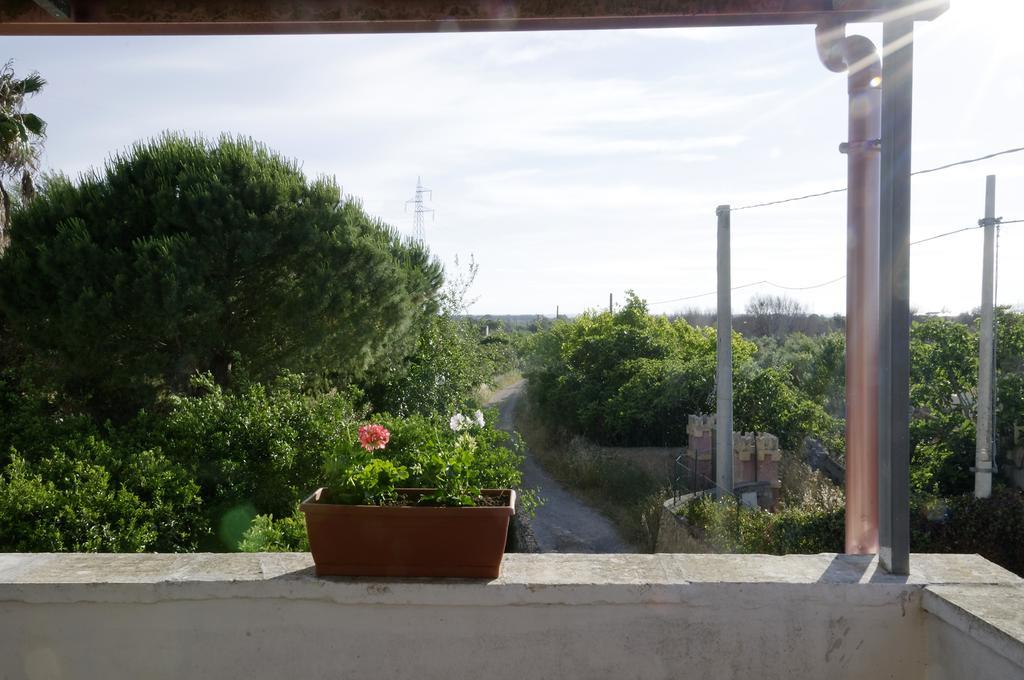 Agrimat Salento Sas Villa Алецио Екстериор снимка
