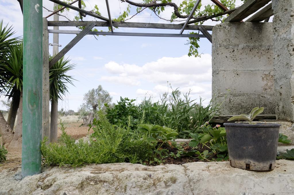Agrimat Salento Sas Villa Алецио Екстериор снимка
